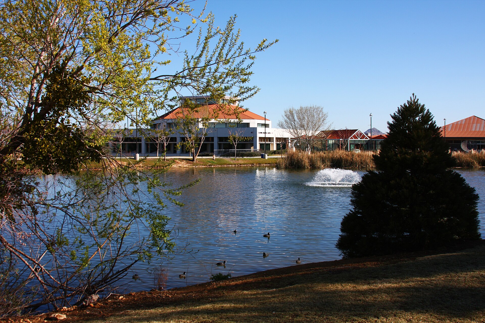 Ducks on the Victor Valley College lake, with a fountain, trees and campus buildings, photographed in 2009